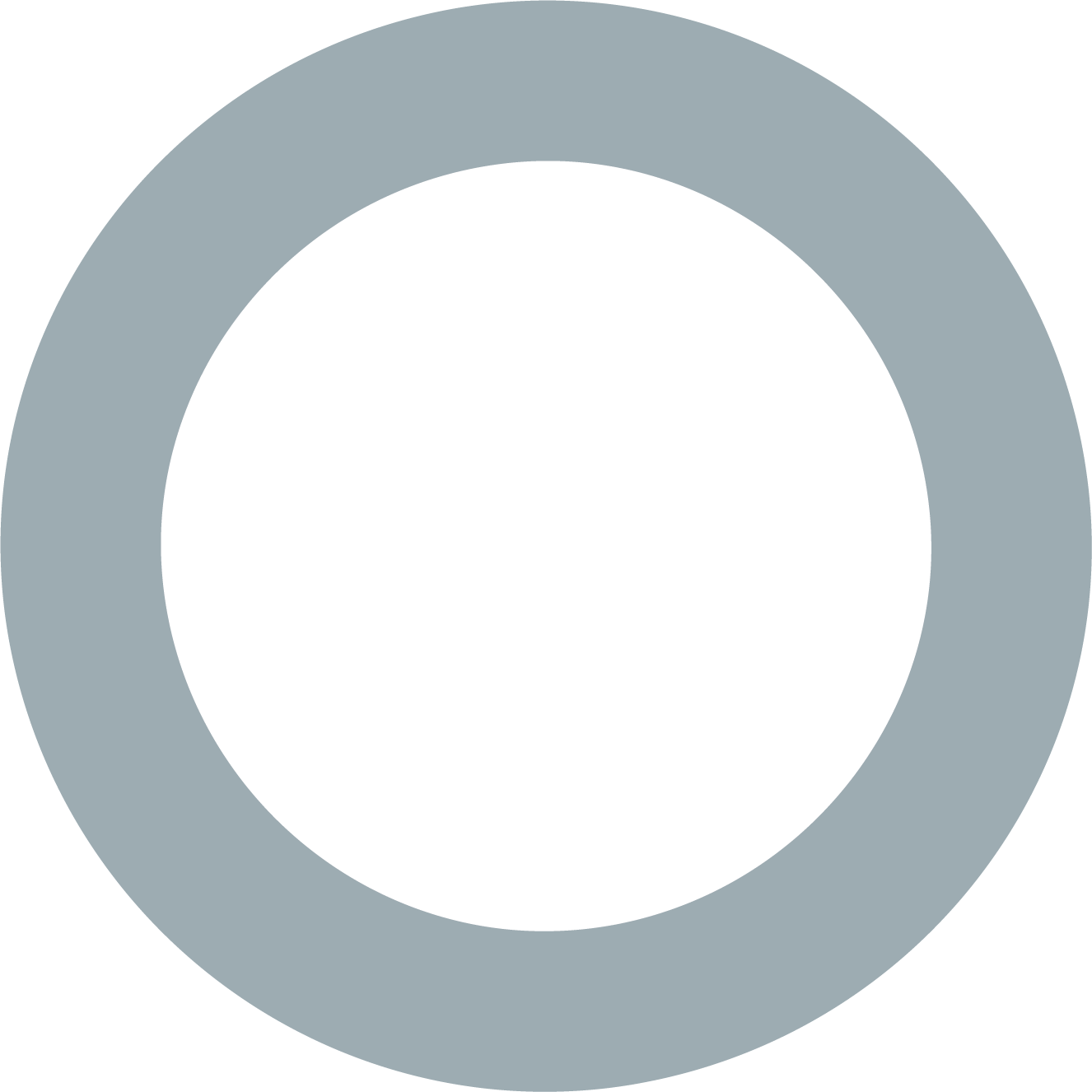 Bluegray 500 circle