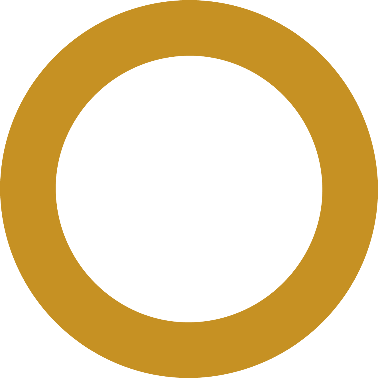 Gold 500 circle ring